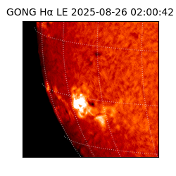 gong - 2025-08-26T02:00:42