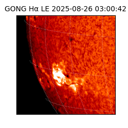 gong - 2025-08-26T03:00:42