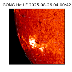 gong - 2025-08-26T04:00:42