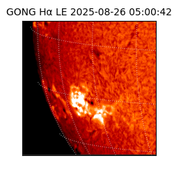 gong - 2025-08-26T05:00:42