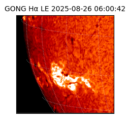 gong - 2025-08-26T06:00:42
