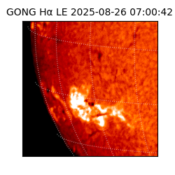 gong - 2025-08-26T07:00:42