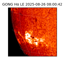 gong - 2025-08-26T08:00:42