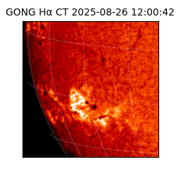 gong - 2025-08-26T12:00:42