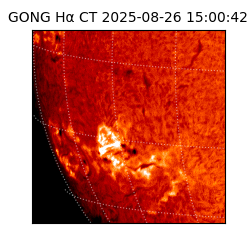 gong - 2025-08-26T15:00:42