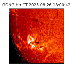 gong - 2025-08-26T18:00:42