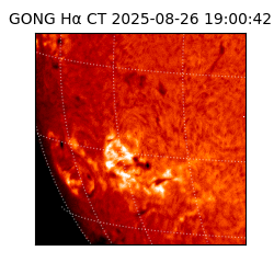 gong - 2025-08-26T19:00:42