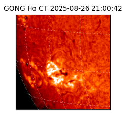 gong - 2025-08-26T21:00:42