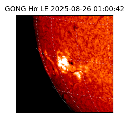 gong - 2025-08-26T01:00:42