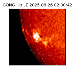 gong - 2025-08-26T02:00:42
