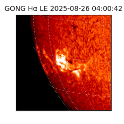 gong - 2025-08-26T04:00:42