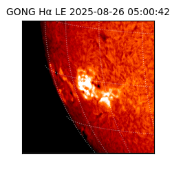 gong - 2025-08-26T05:00:42