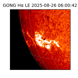 gong - 2025-08-26T06:00:42