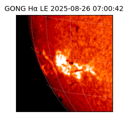 gong - 2025-08-26T07:00:42