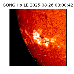 gong - 2025-08-26T08:00:42