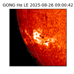 gong - 2025-08-26T09:00:42