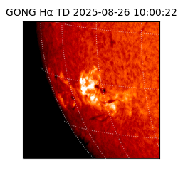 gong - 2025-08-26T10:00:22