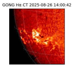 gong - 2025-08-26T14:00:42