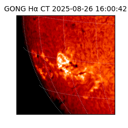 gong - 2025-08-26T16:00:42