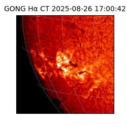 gong - 2025-08-26T17:00:42