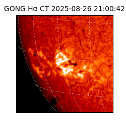 gong - 2025-08-26T21:00:42