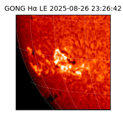 gong - 2025-08-26T23:26:42