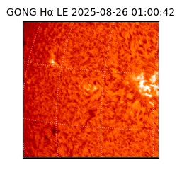 gong - 2025-08-26T01:00:42