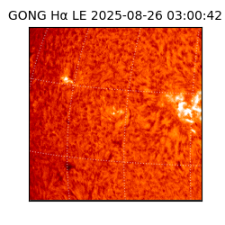 gong - 2025-08-26T03:00:42