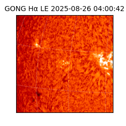 gong - 2025-08-26T04:00:42