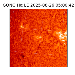 gong - 2025-08-26T05:00:42