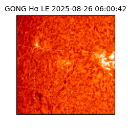 gong - 2025-08-26T06:00:42