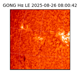 gong - 2025-08-26T08:00:42