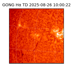 gong - 2025-08-26T10:00:22