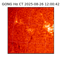 gong - 2025-08-26T12:00:42