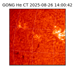 gong - 2025-08-26T14:00:42