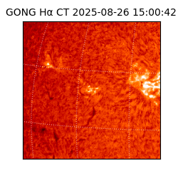 gong - 2025-08-26T15:00:42