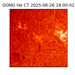 gong - 2025-08-26T18:00:42