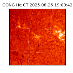 gong - 2025-08-26T19:00:42