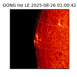gong - 2025-08-26T01:00:42