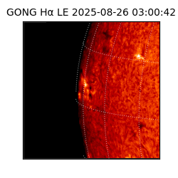 gong - 2025-08-26T03:00:42