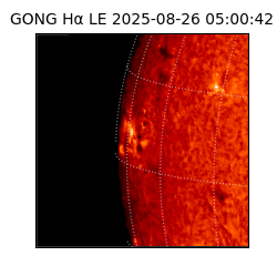gong - 2025-08-26T05:00:42