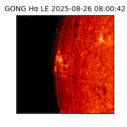 gong - 2025-08-26T08:00:42