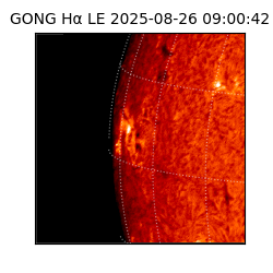 gong - 2025-08-26T09:00:42
