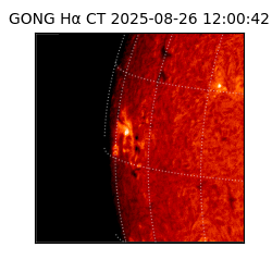 gong - 2025-08-26T12:00:42