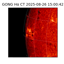 gong - 2025-08-26T15:00:42