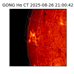 gong - 2025-08-26T21:00:42