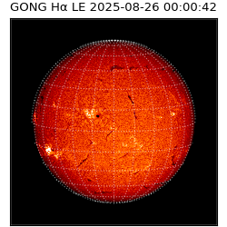 gong - 2025-08-26T00:00:42