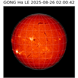 gong - 2025-08-26T02:00:42
