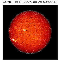 gong - 2025-08-26T03:00:42