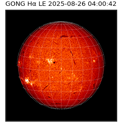gong - 2025-08-26T04:00:42